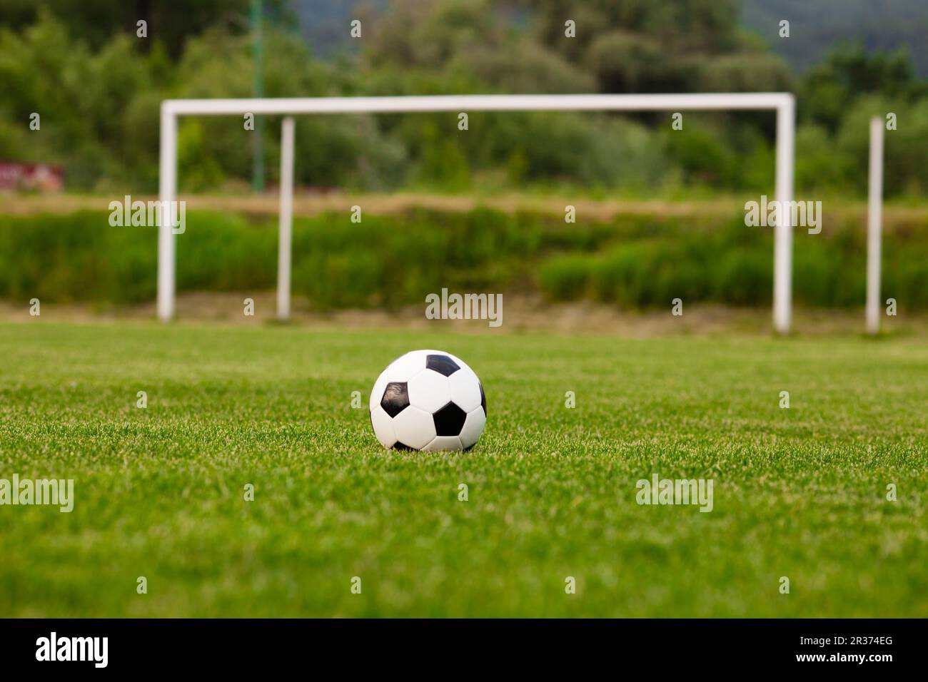 Fußball auf dem Rasen vor dem Spiel Stockfoto