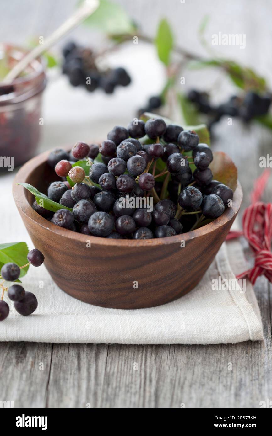 Aronia-Beeren in einer Holzschüssel Stockfoto