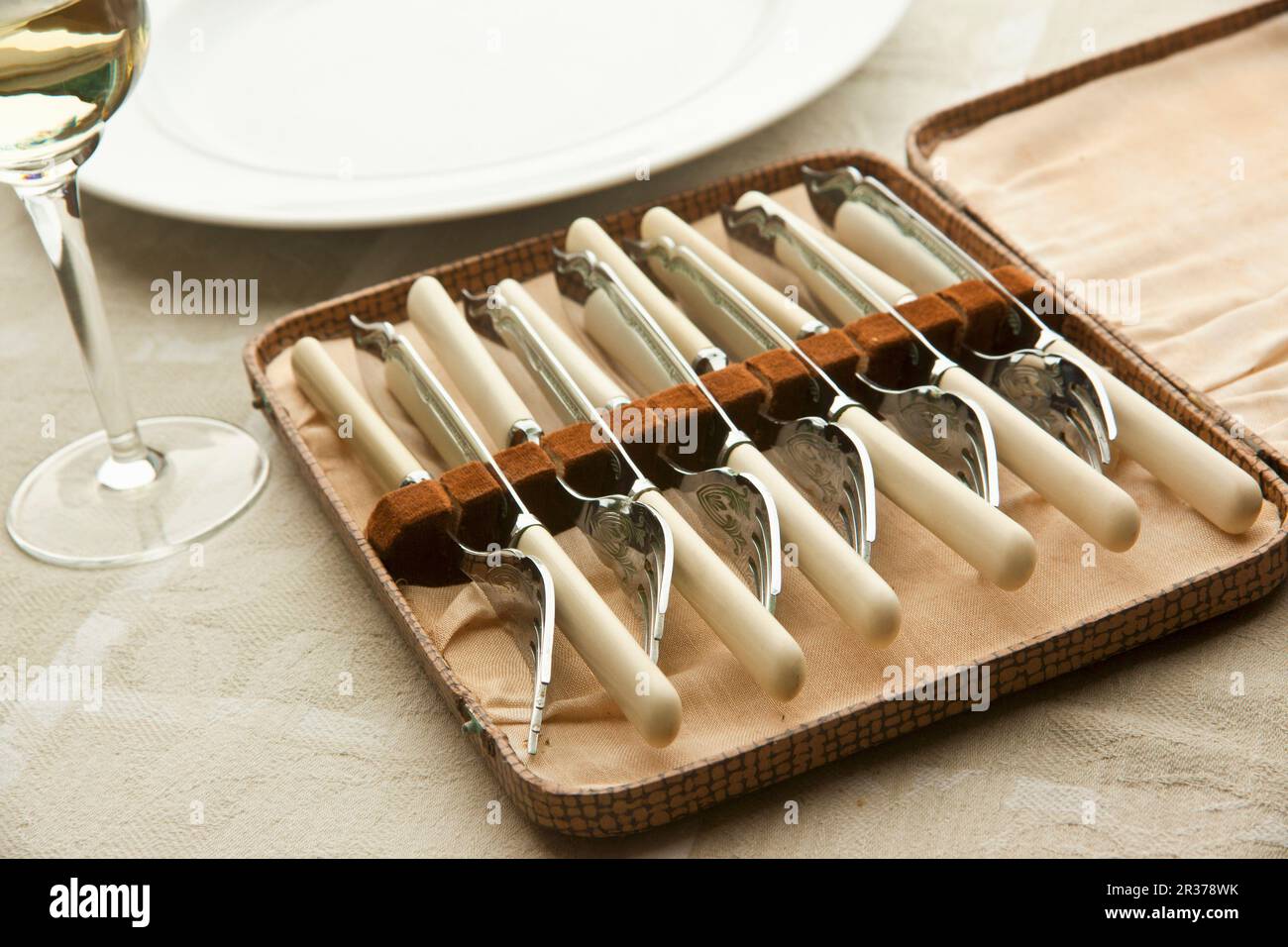 Antikes Fischmesser- und Gabelset im Koffer Stockfoto