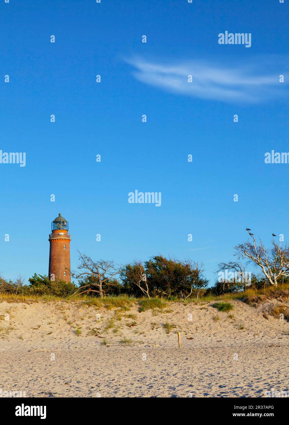 Leuchtturm Darßer Ort Stockfoto