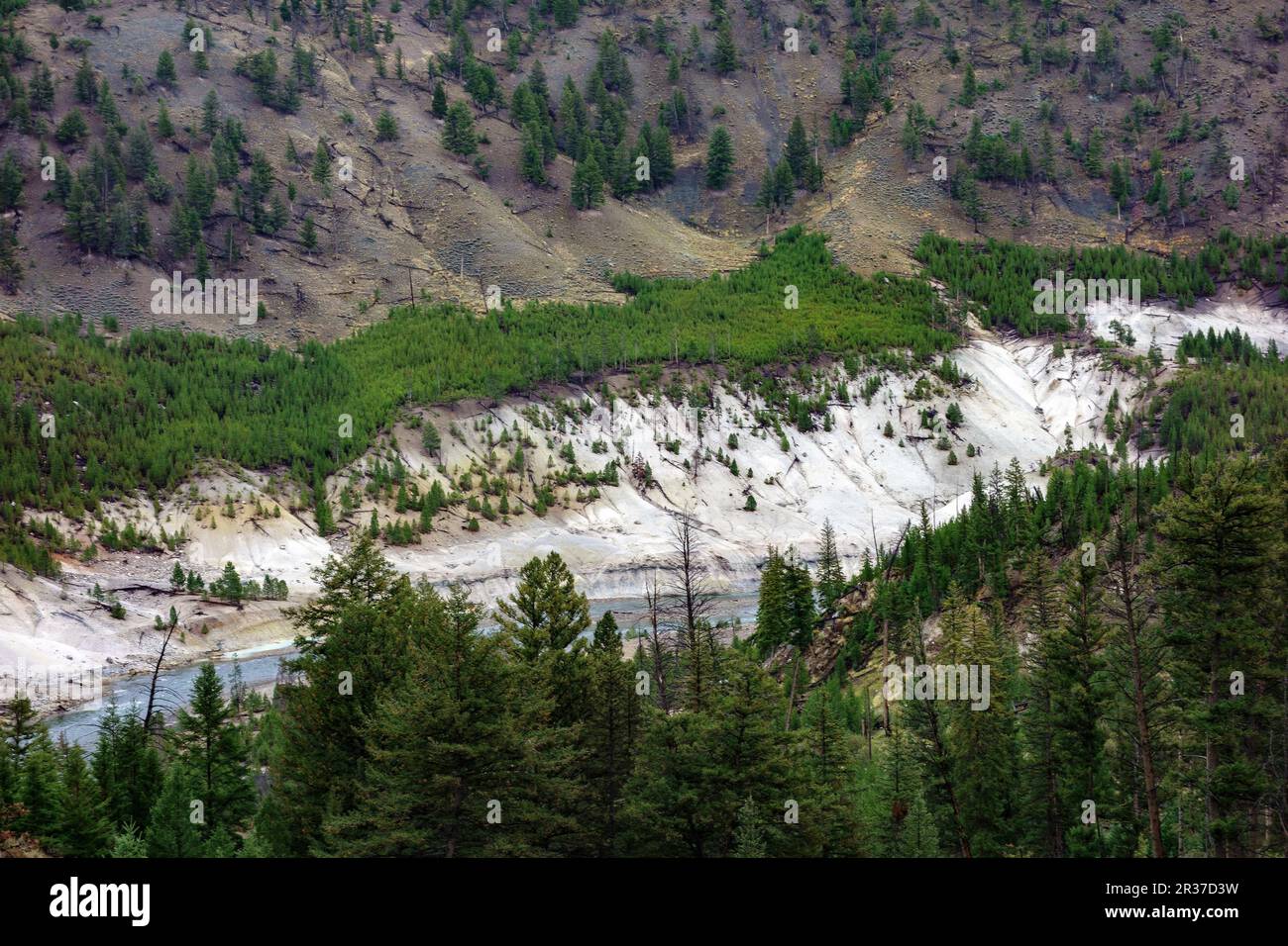 Blick auf den Yellowstone River Stockfoto