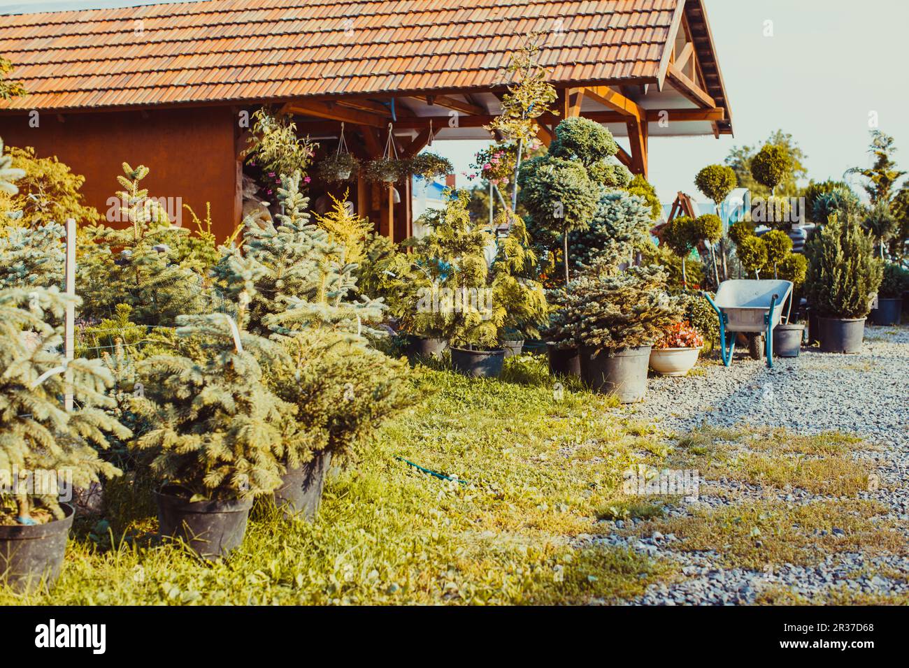 Garten im freien Markt Stockfoto