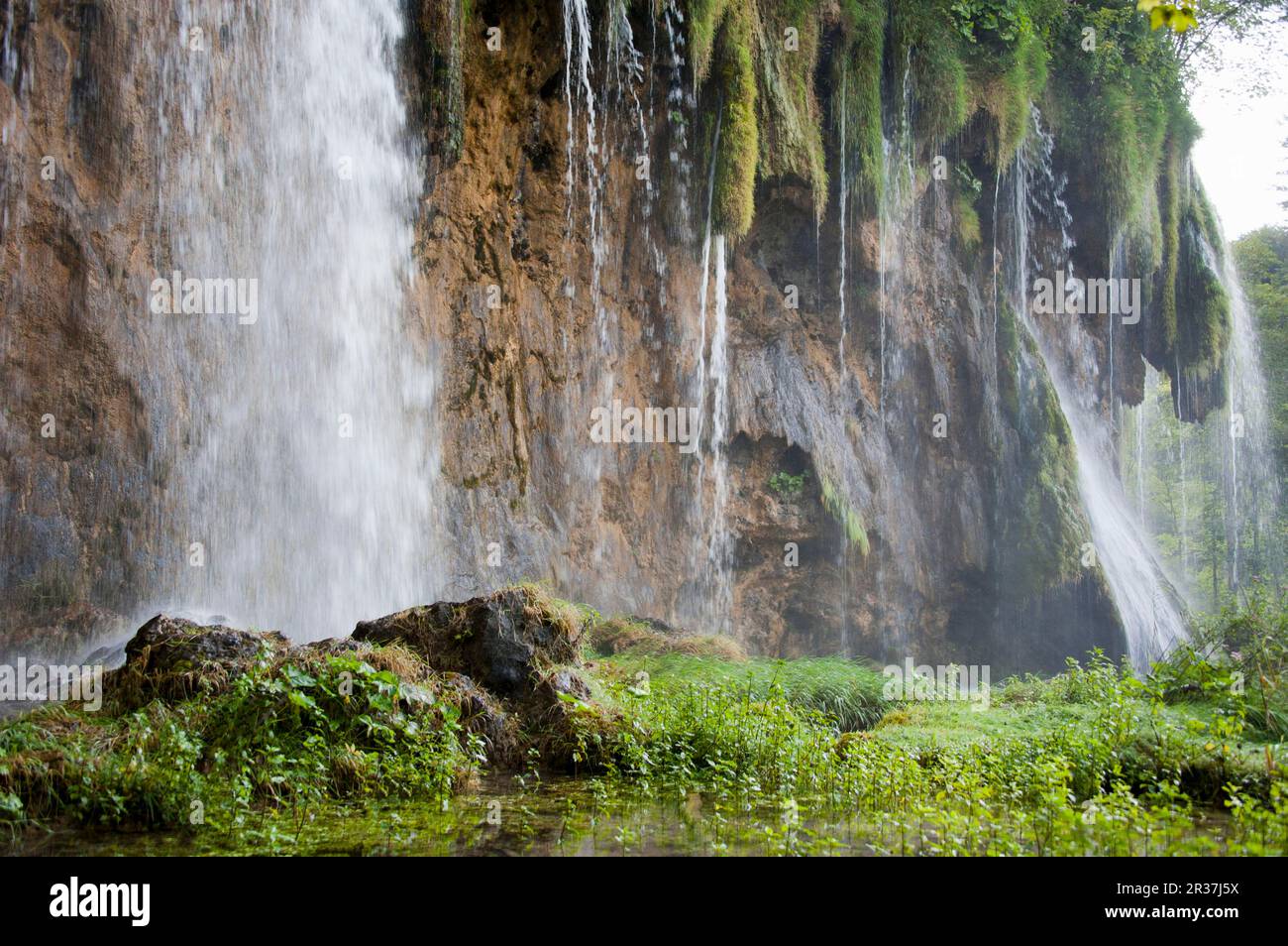 Wasserfall, Plitvice, Plitvicka Jezera, Nationalpark Plitvicer Seen, Lika-Senj, Kroatien Stockfoto