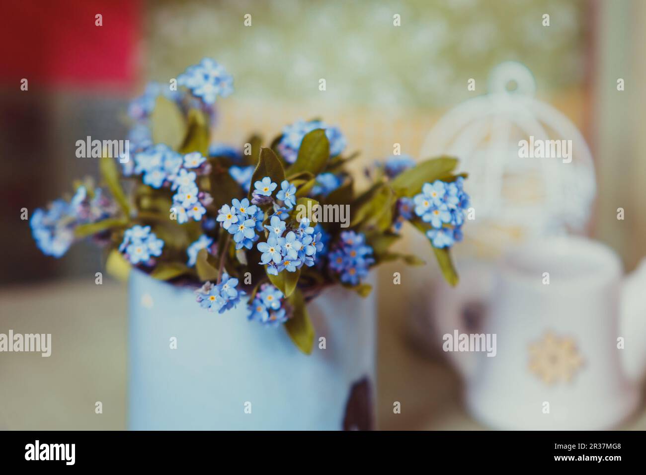 Vergissmeinnicht im rustikalen cup Stockfoto
