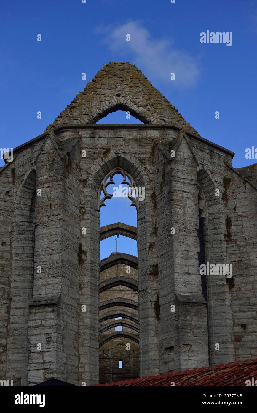 St. Katharinenkirche, Visby, Gotland, Sweden1 Stockfoto