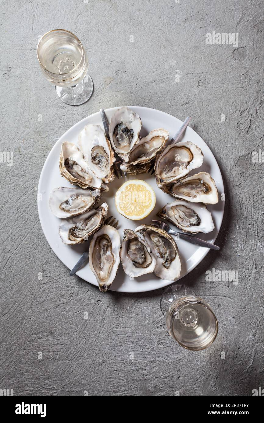 Austern auf der Platte Stockfoto