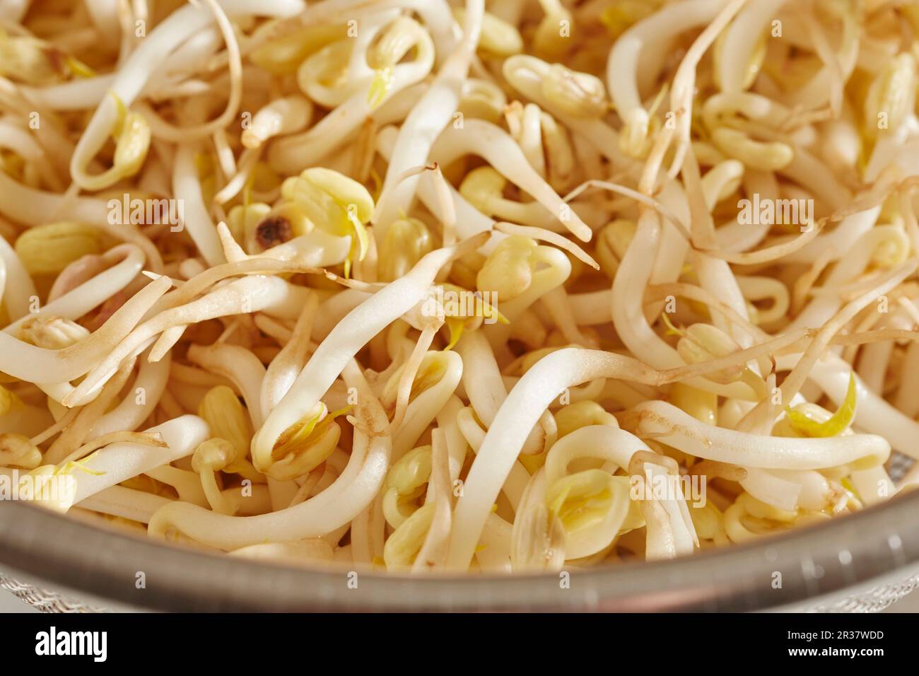 Rohe, frische Sojabohnen (Nahaufnahme) Stockfoto