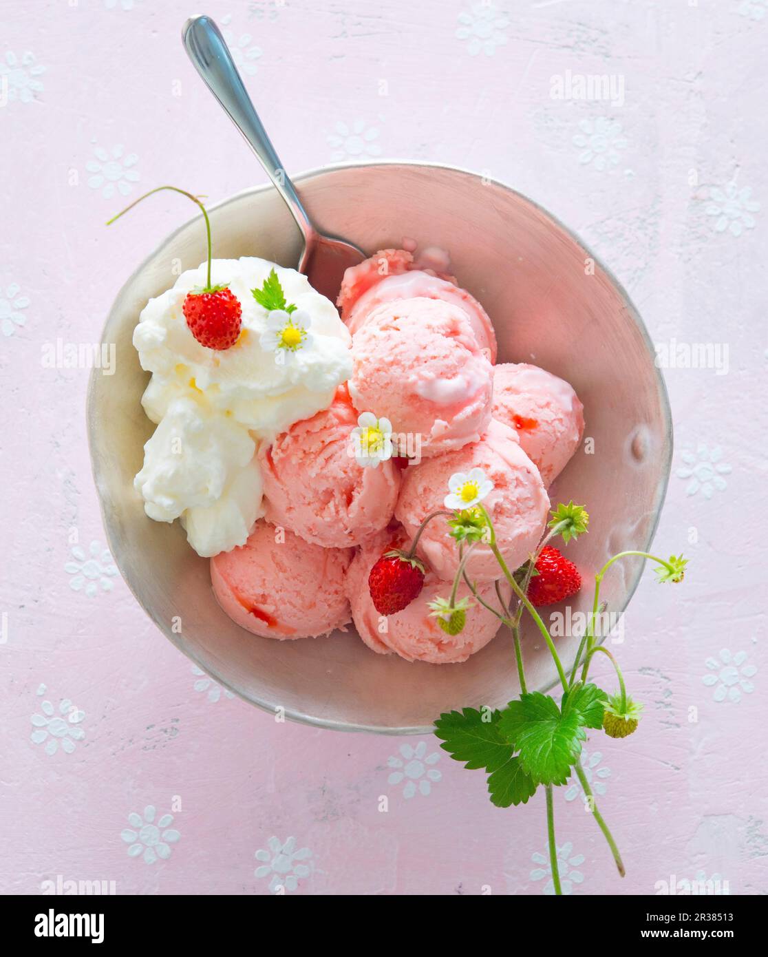 Eine Schüssel Erdbeereis, Schlagsahne und wilde Erdbeeren Stockfoto