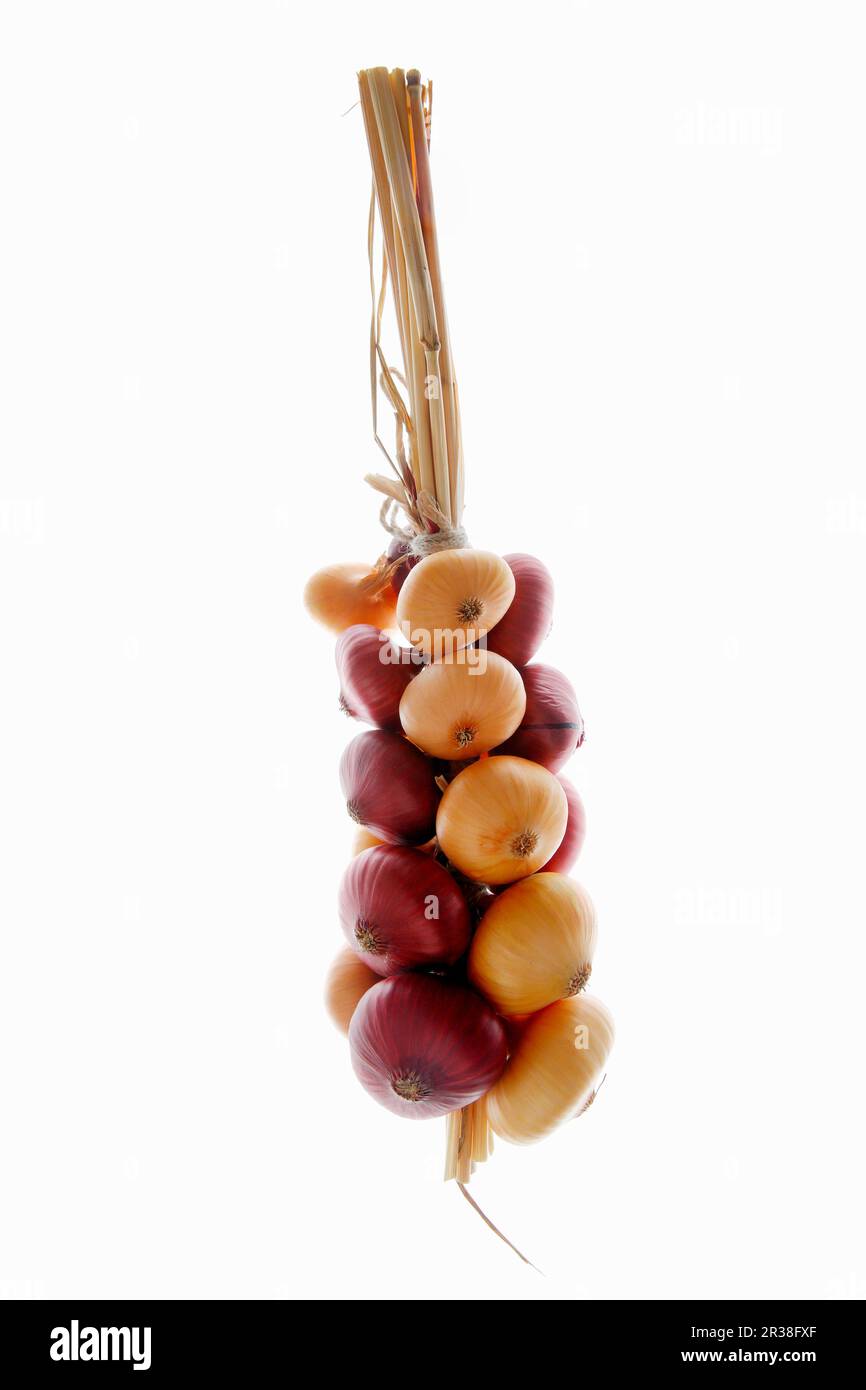 Geflochtene Zwiebeln Stockfoto
