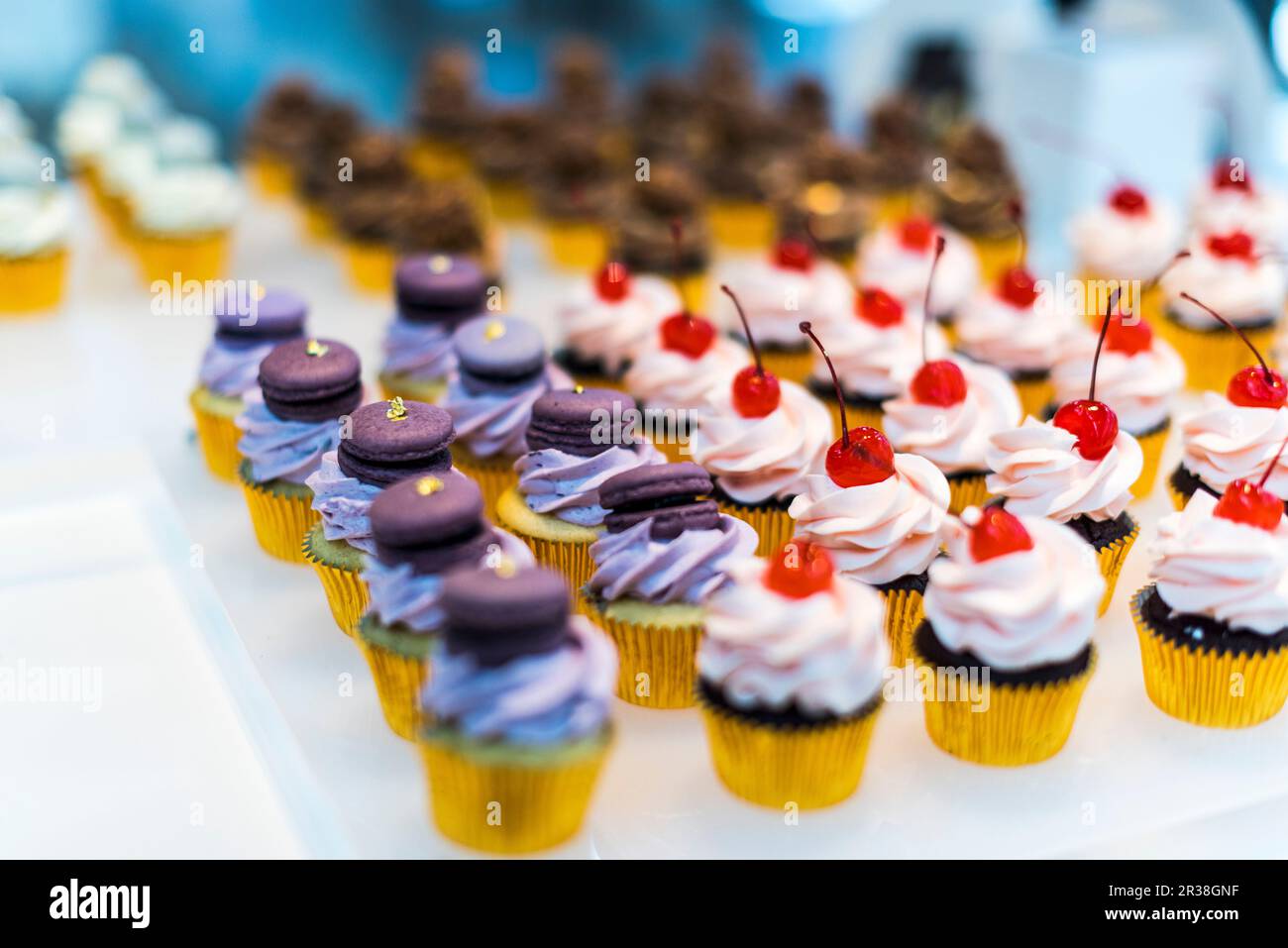 Cupcakes im Schauschrank Stockfoto