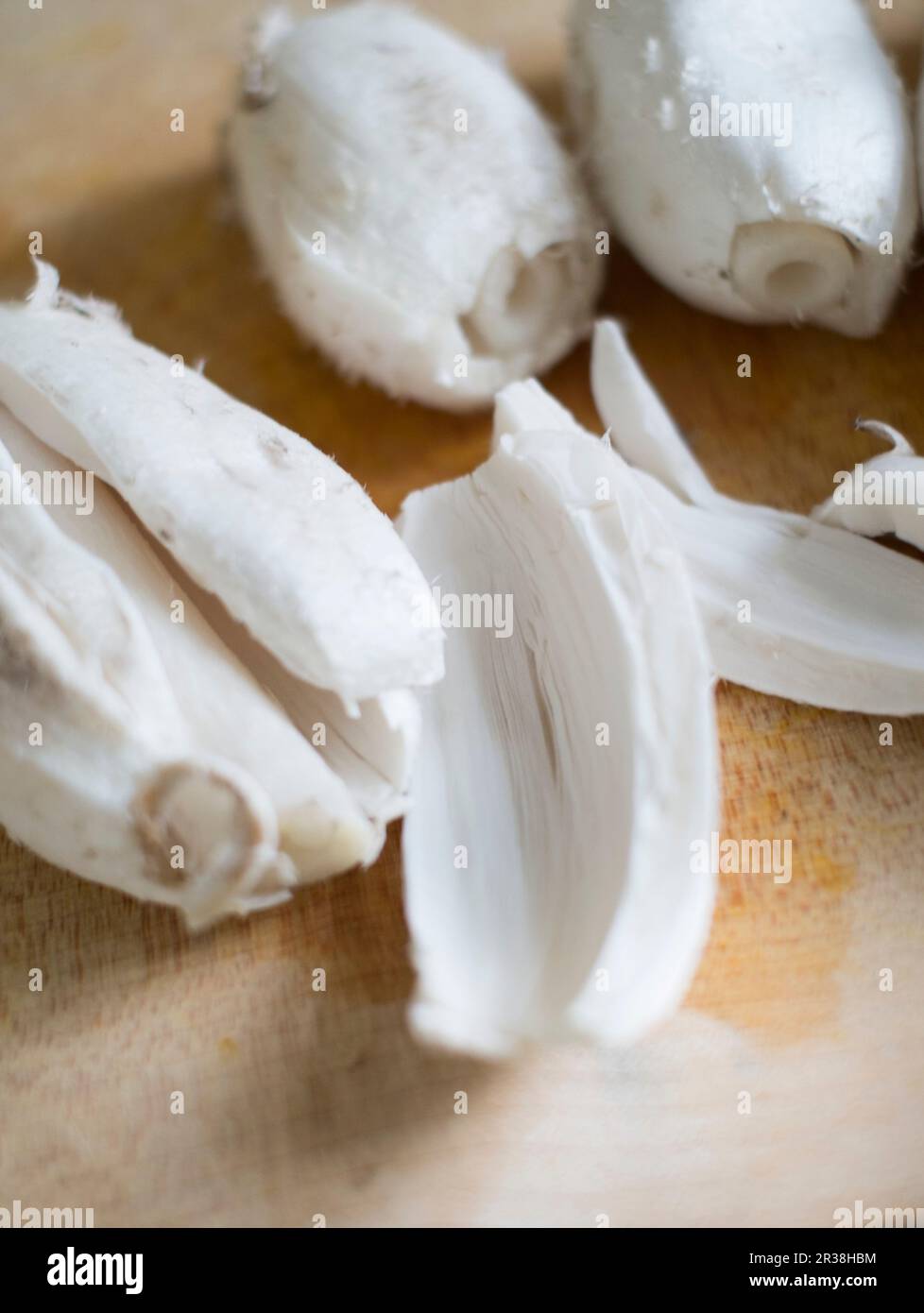 Shaggy ink Kappen Stockfoto
