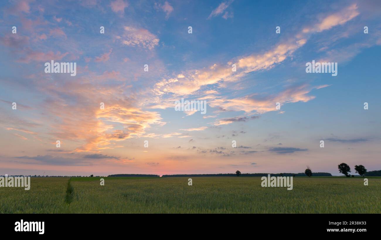 Schönen Sonnenuntergang Himmel über Müsli Feld in ruhigen ländlichen Landschaft. Polnische Landschaft Stockfoto