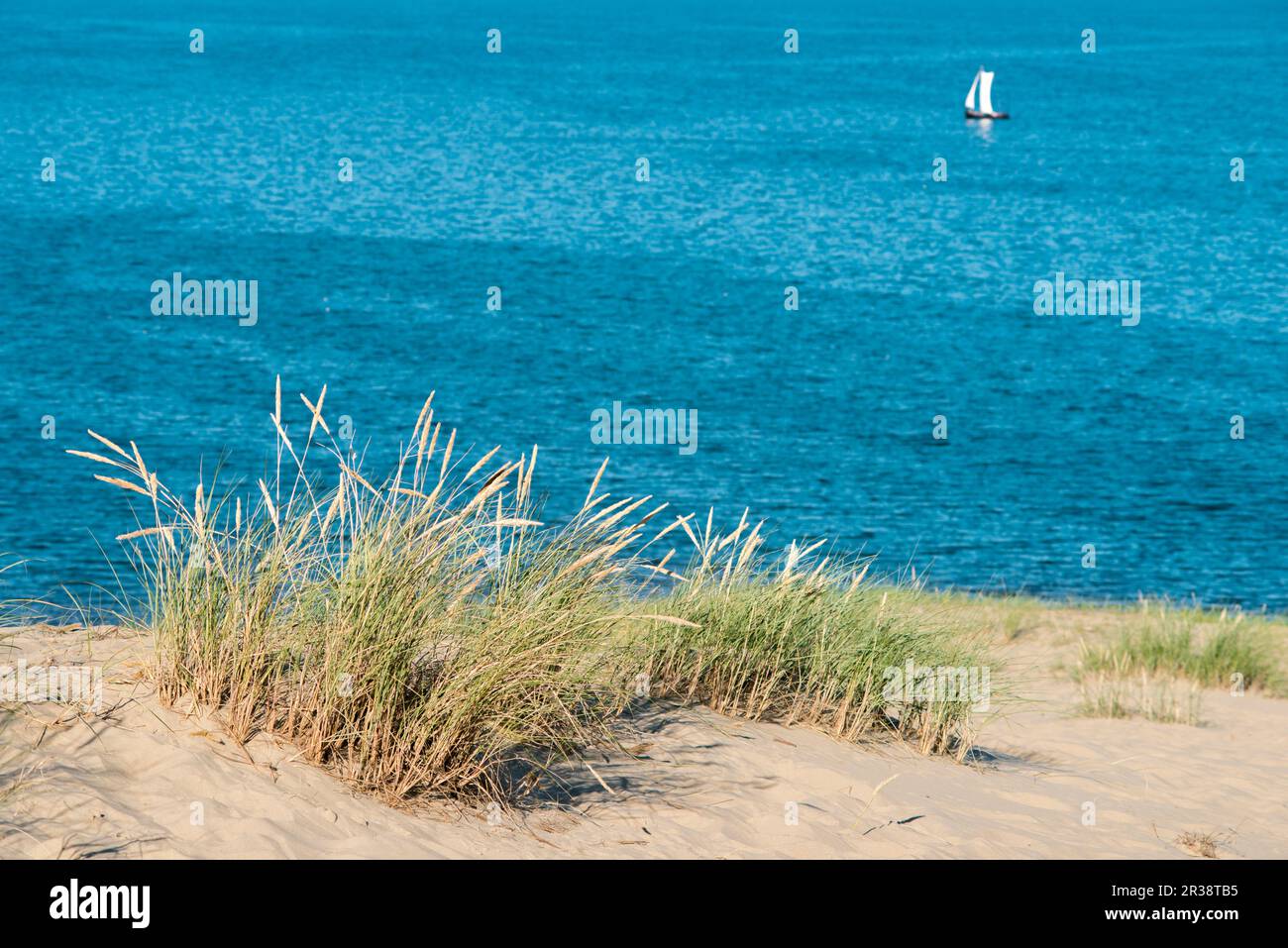 Sanddünen Landschaft mit hellblauem Meer und Segeln auf entfernten Schiffen Stockfoto