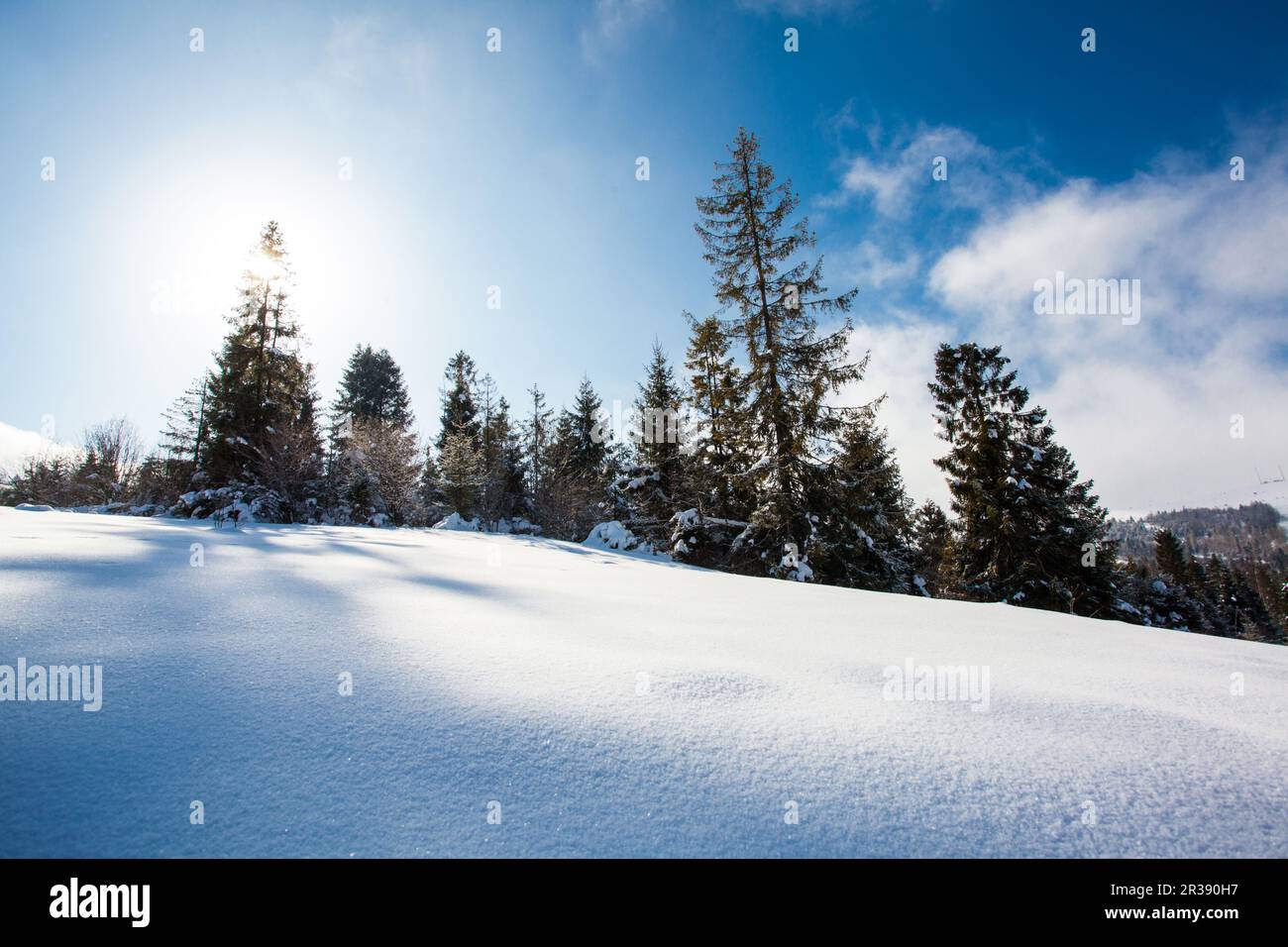 Fantastische Winterlandschaft an sonnigen Tagen. Schönheitswelt. Stockfoto