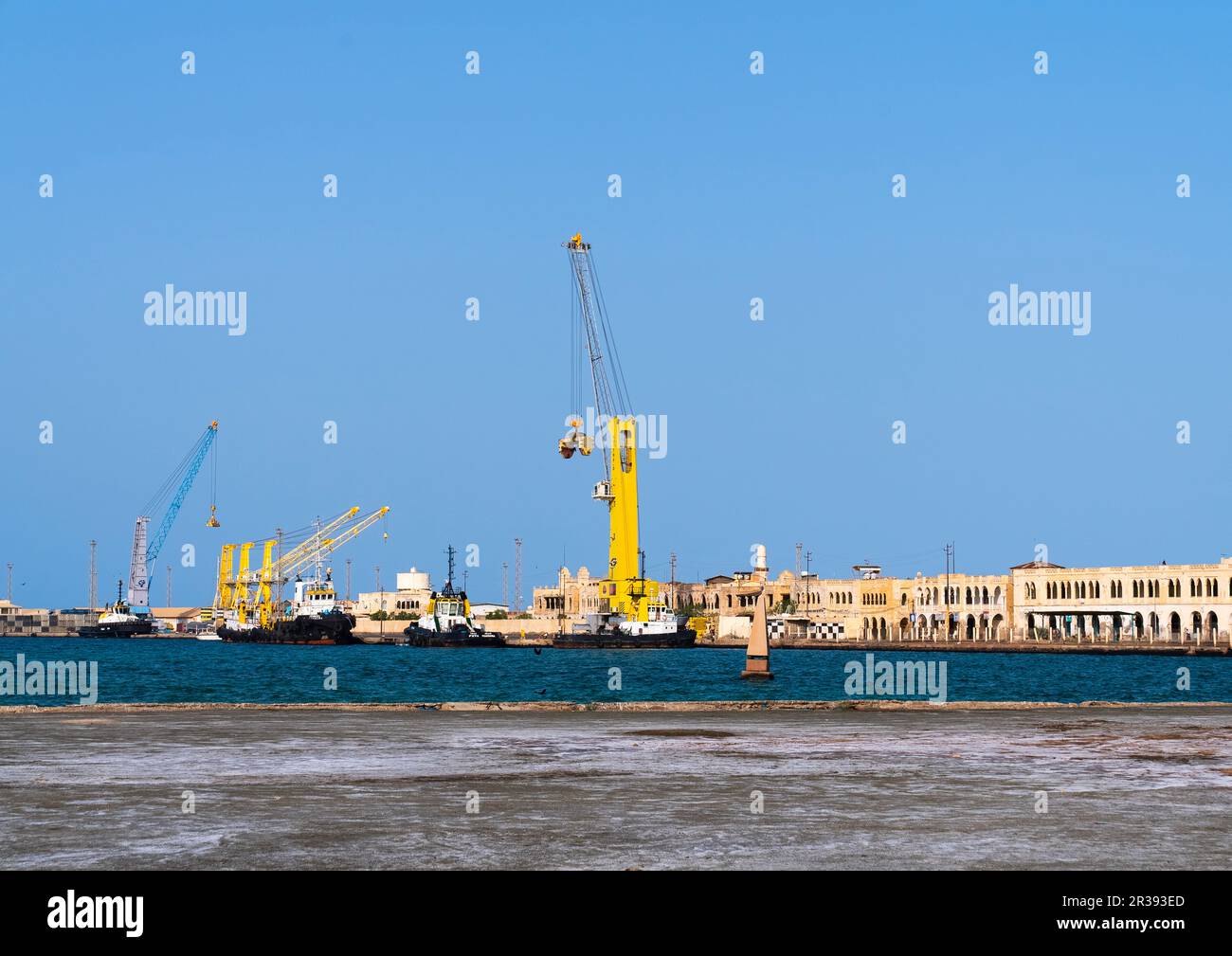 Kraniche im Hafen, Nordrotes Meer, Massawa, Eritrea Stockfoto