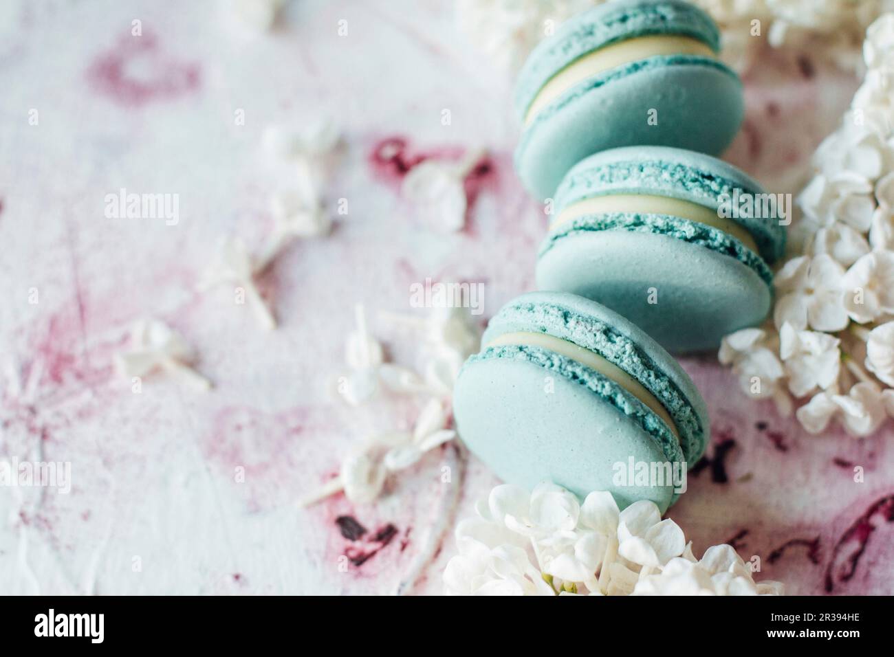 Blaue Makronen und weiße Flieder Stockfoto