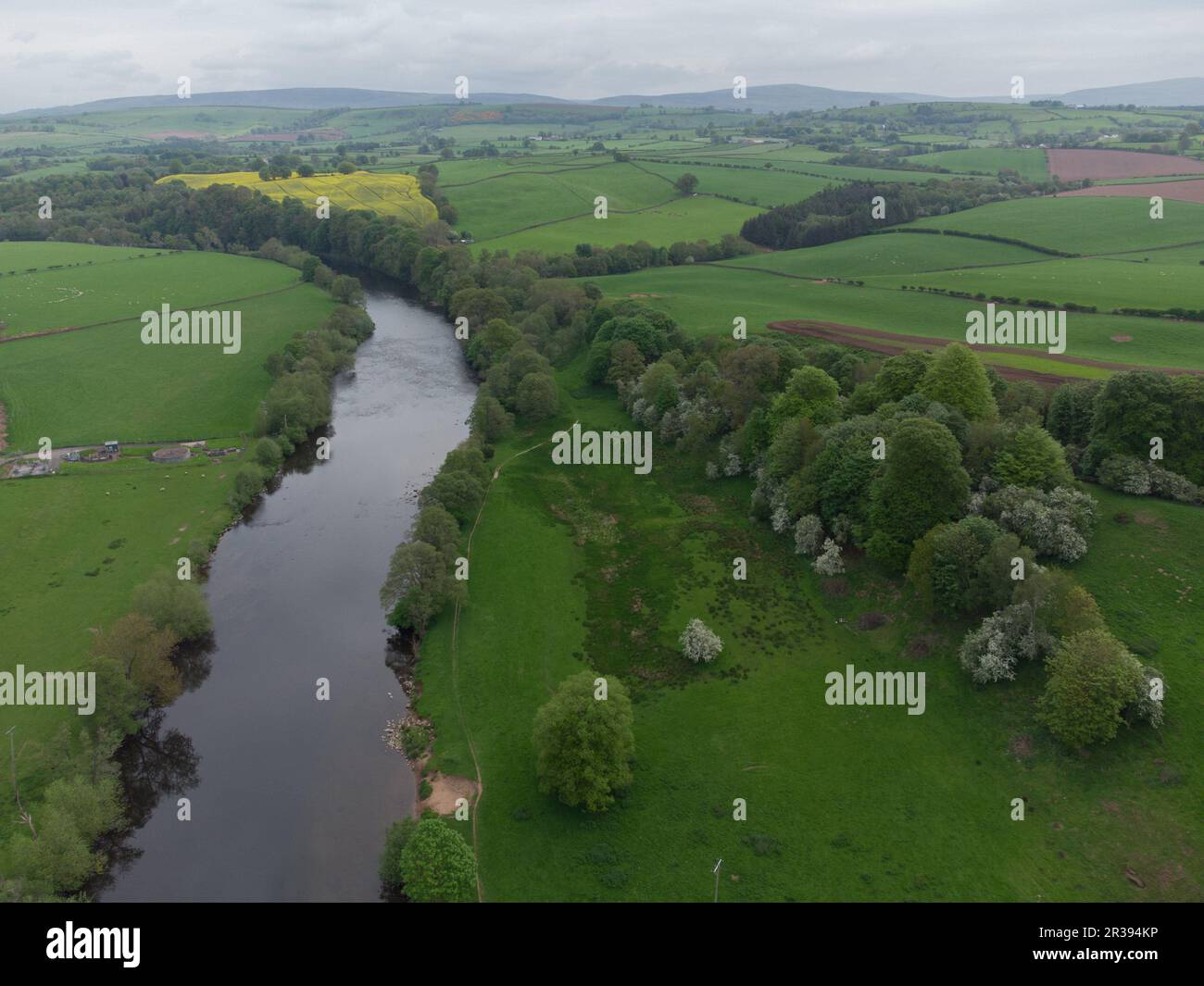 Der Fluss eden in der Nähe des Dorfes Armathwaite in cumbria Stockfoto