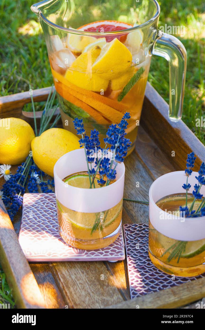 Eistee mit Zitrusfrüchten und Lavendel in einer Kanne und Gläsern Stockfoto