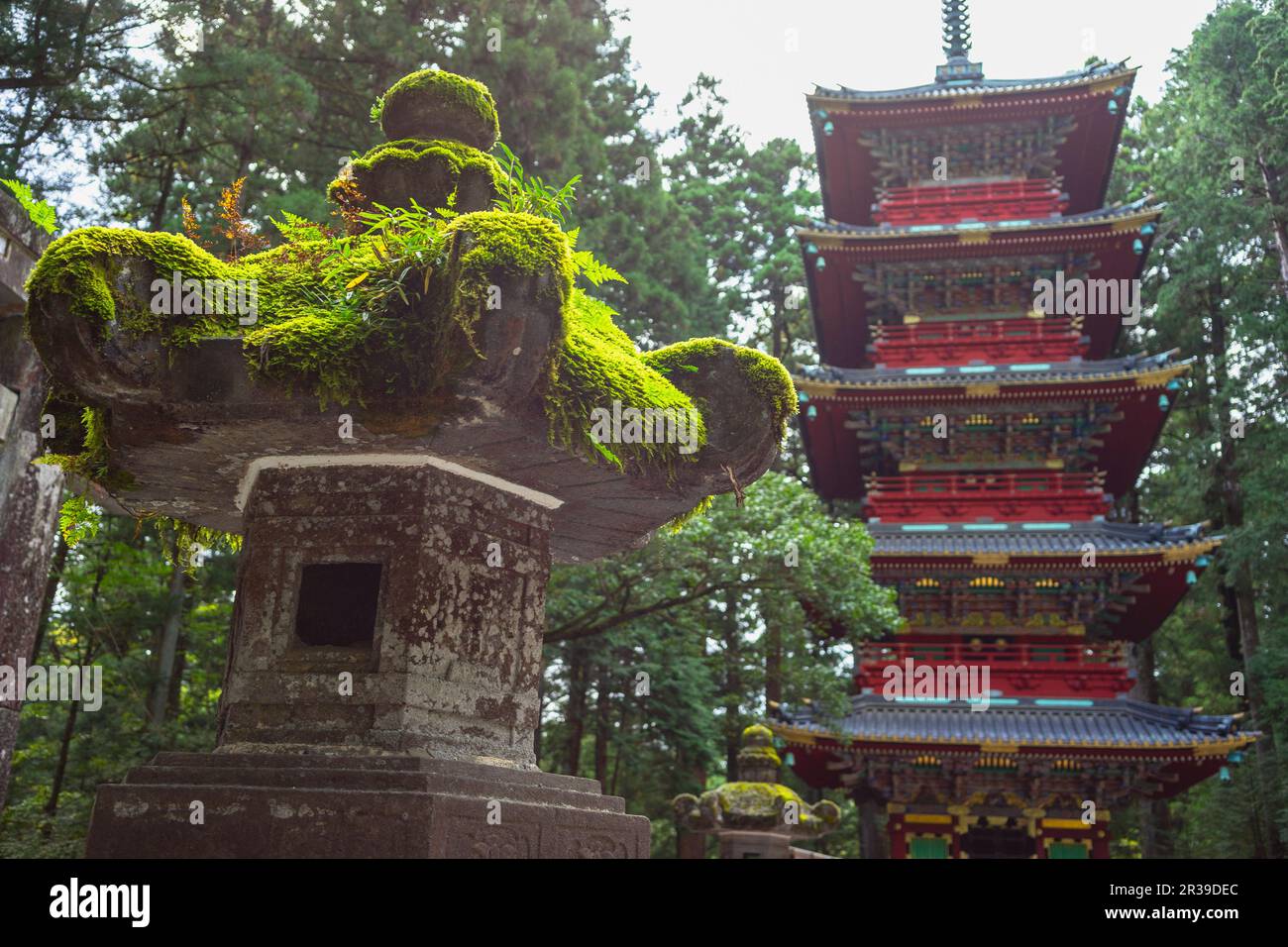 Japans Naturattraktionen, Tourismus, Tokio, Kyoto, Osaka, Nara, Nikko, Nagoya, Hakkone Stockfoto