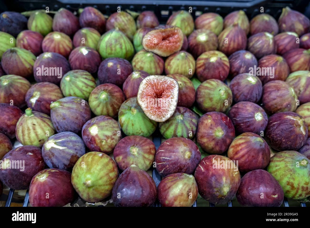 Frische Feigen (Modena, Italien) Stockfoto
