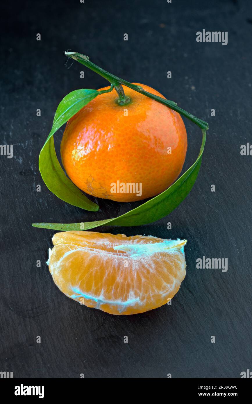 Mandarinen auf einem Schieferteller Stockfoto