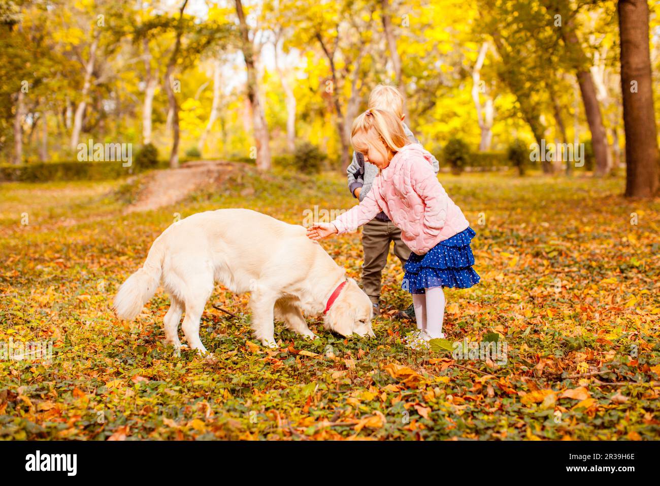 Glückliche Kinder mit goldenem Retriever-Hund im Herbst Stockfoto
