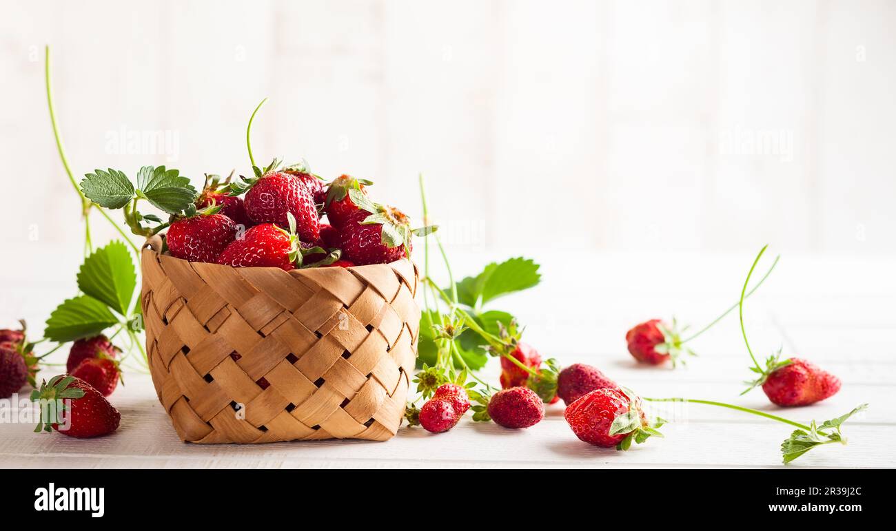 Frische Erdbeere mit Blättern und Blumen im Korb auf weißem Holzhintergrund Stockfoto