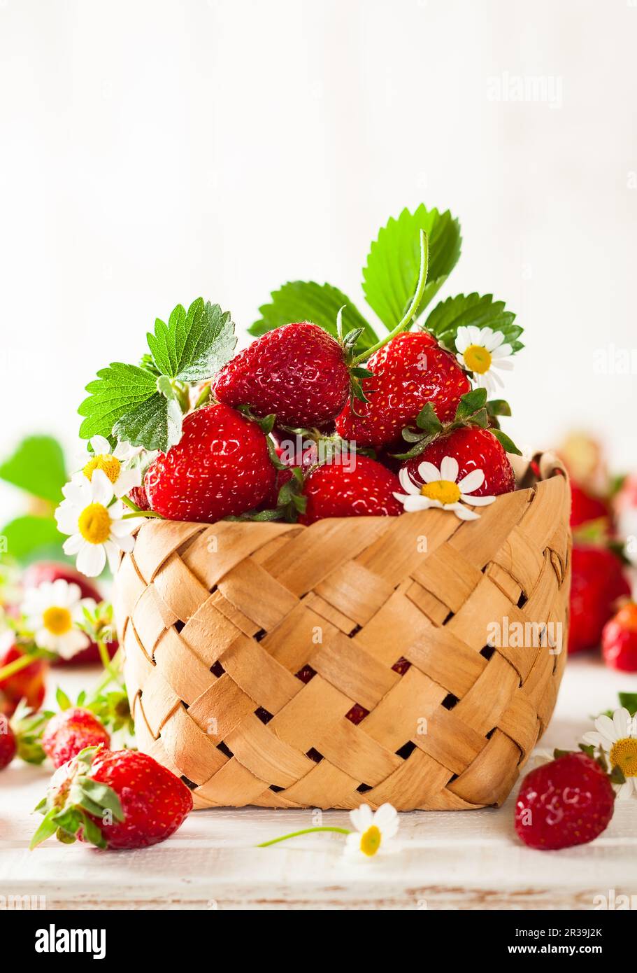 Frische Erdbeere mit Blättern und Blumen im Korb auf weißem Holzhintergrund Stockfoto