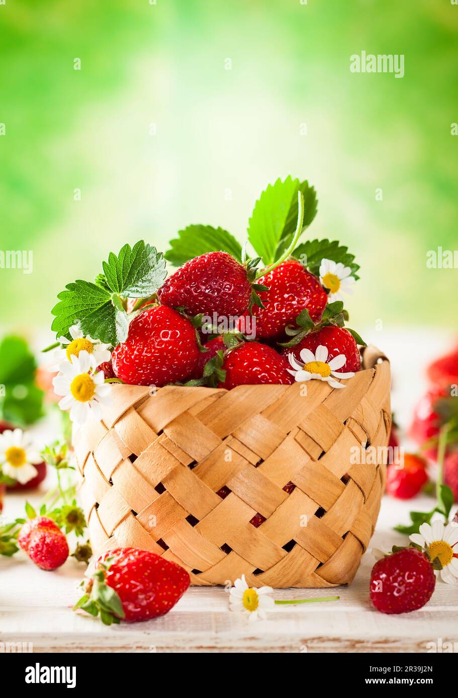 Frische Erdbeere im Korb auf Holzhintergrund Stockfoto