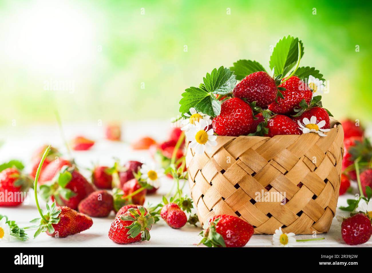 Frische Erdbeere im Korb auf Holzhintergrund Stockfoto