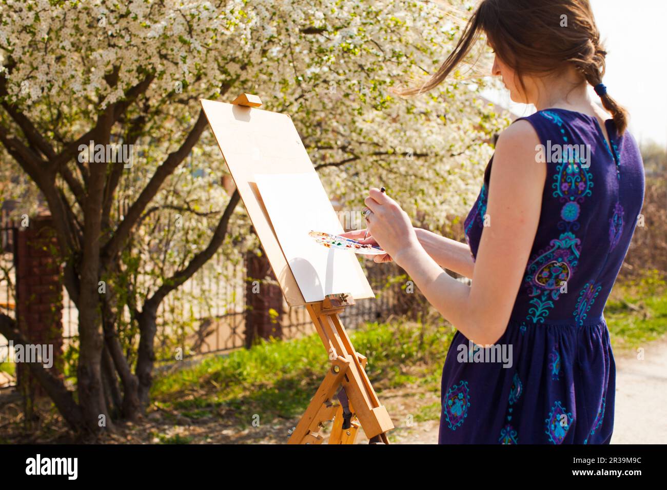 Künstler malt ein Bild von blühendem Kirschbaum im Garten. Stockfoto