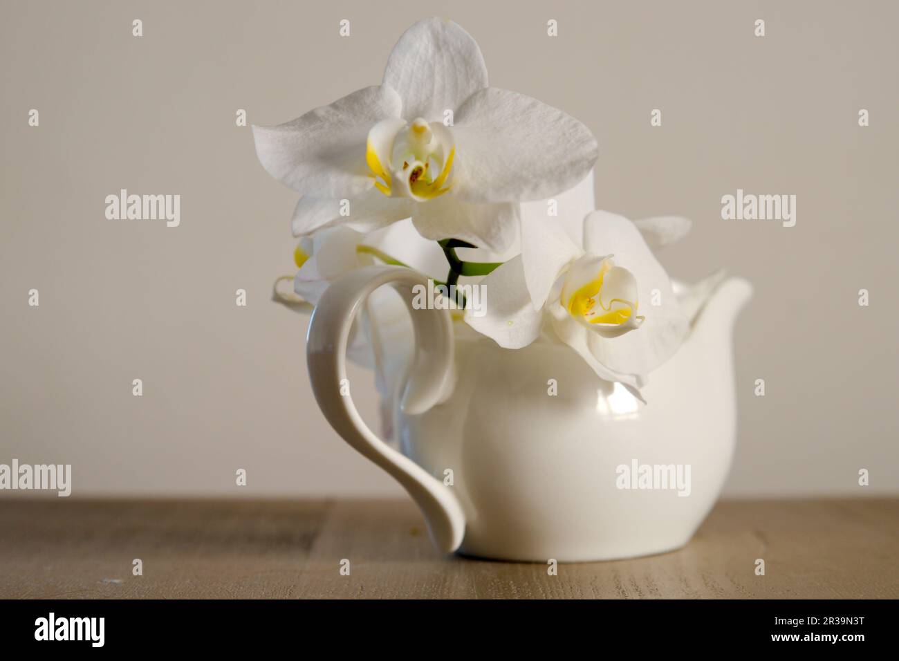 Wunderschöne weiße Freesien in Vase auf dem Tisch Stockfoto