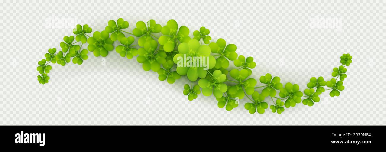 Lucky Four Leaf Klee, Grenze für Irish Patricks Day Hintergrund. Grüne Shamrock-Blätter, gewellter Teiler auf transparentem Hintergrund isoliert, Vektor-realistische Illustration Stock Vektor