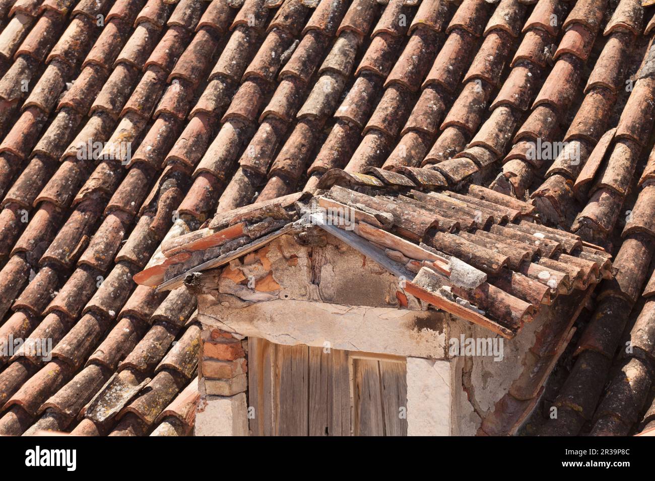 Das beleuchtete Dach mit alten roten Fliesen Stockfoto