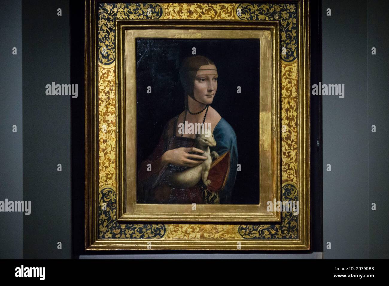 La Dama del Armiño (La Dama con l'ermellino) cuadro del Pintor renacentista italiano Leonardo da Vinci, l óleo sobre Tabla, 54,8 cm.de Alto y 40,3 cm de ancho, Periodo 1488-1490. Wawel, Krakau, Polen, Osteuropa. Stockfoto