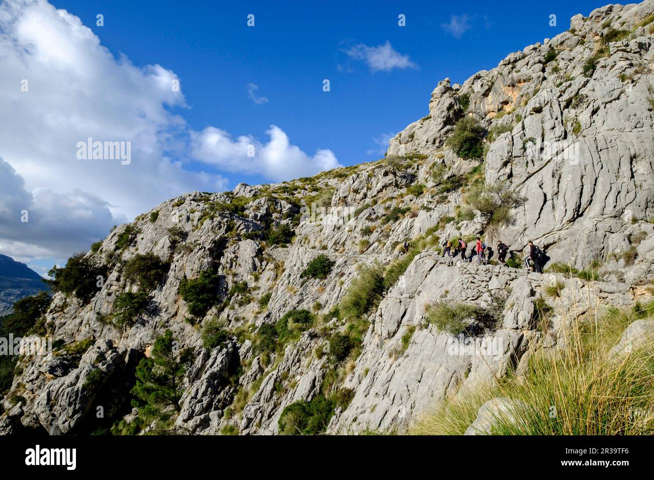 Coll de Esel, Finca de Mossa, Puig Roig, 1003 Metros, Escorca, Sierra de Tramuntana, Mallorca, Balearen, Spanien, Europa. Stockfoto