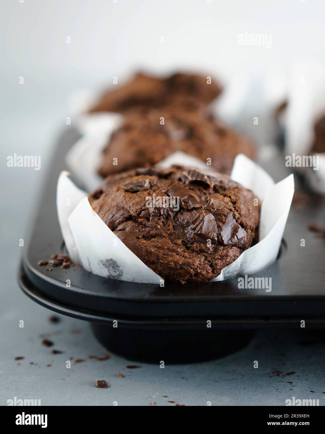 Schokoladen-Muffins in weißen Muffin-Kästen Stockfoto