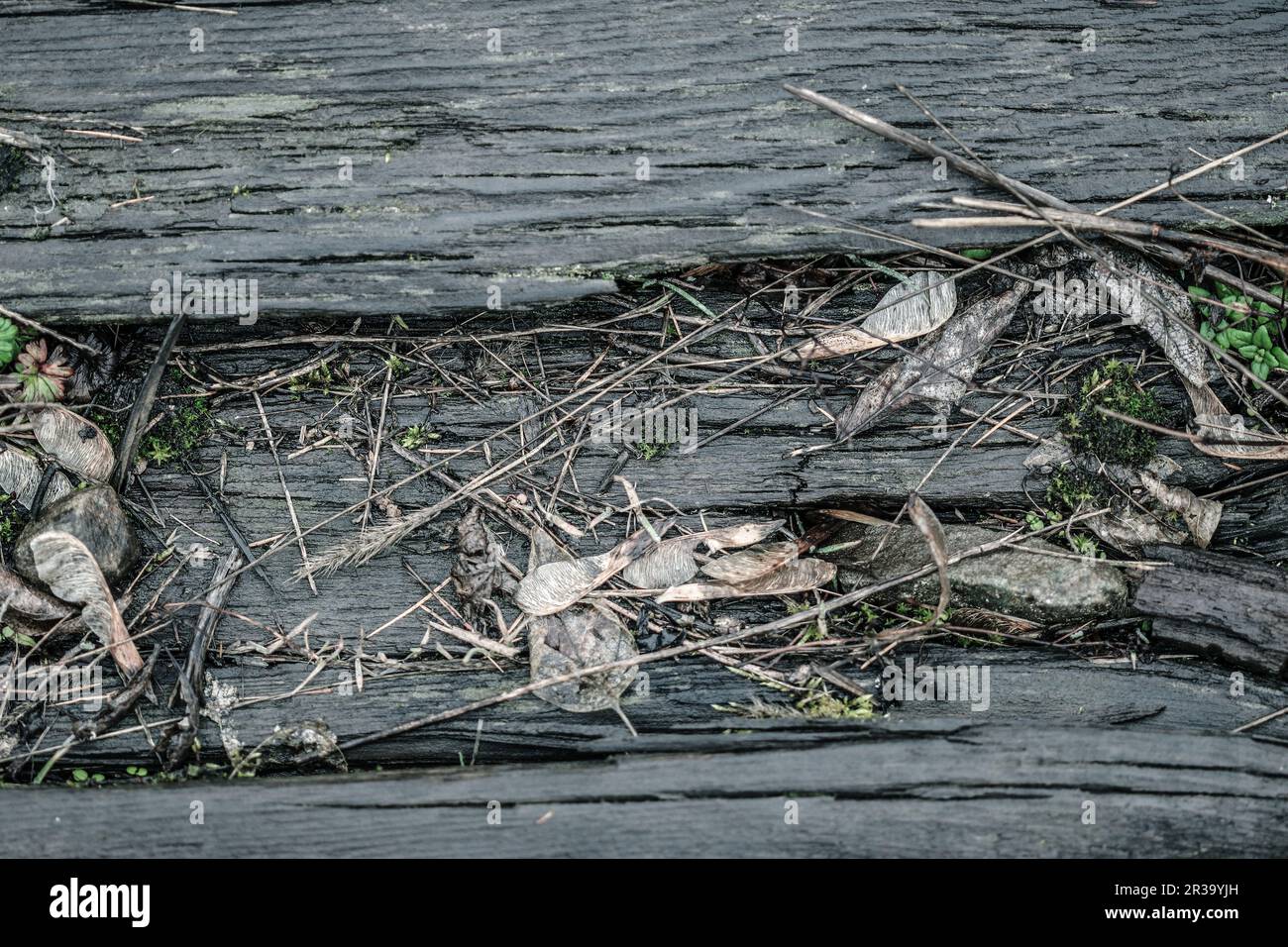 Alte Bahnschwellen aus Holz im Hintergrund Stockfoto