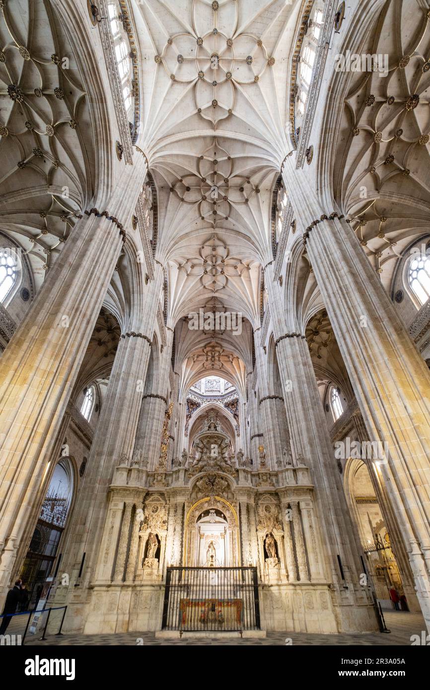 Catedral de la Asunción de la Virgen, Salamanca, Comunidad Autónoma de Castilla y León, Spanien. Stockfoto