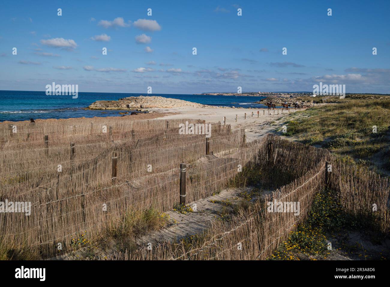 Barrieren für Dünenschutz, Strand von Llevant, Formentera, Pitiusas-Inseln, Balearengemeinschaft, Spanien. Stockfoto