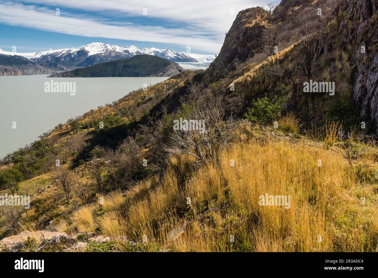 Valle del Lago Grey, trekking W, Parque Nacional Torres del Paine, Sistema Nacional de Áreas Protegidas Silvestres del Estado de Chile Patagonien, República de Chile, América del Sur. Stockfoto