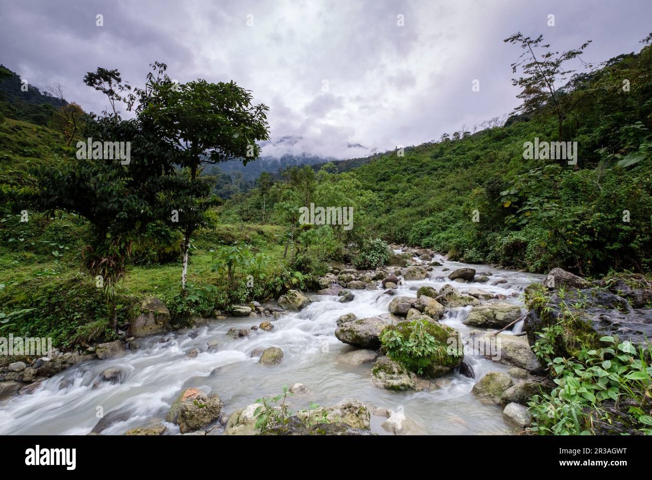 Bosque humedo", "Sierra de Los Cuchumatanes, Quiche, República de Guatemala, América Central. Stockfoto