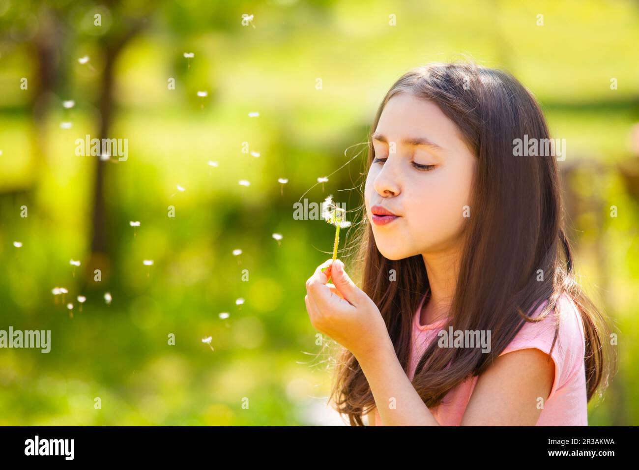 8 Jahre altes Mädchen Schlag auf den Löwenzahn, Sommerzeit Stockfoto