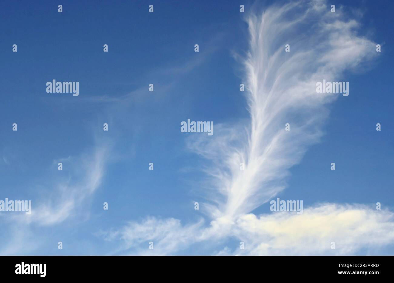 Schicke vertikale Cirrus-Wolken in einem hellblauen Sommerhimmel Stockfoto