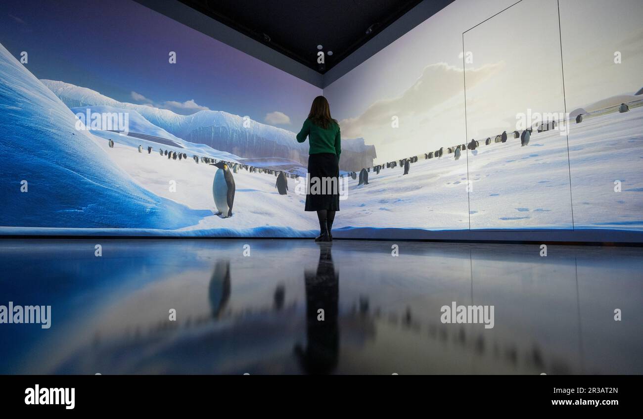 Halcyon Gallery, New Bond Street, London, Großbritannien. 23. Mai 2023. Die neue Halcyon Gallery wird am 25. Mai in Mayfair eröffnet. Die Startausstellung für die neue Galerie - Fütterung des Bewusstseins - zeigt neue Werke des wegweisenden britischen Künstlers Dominic Harris, dessen interaktive Werke und große immersive Installationen fortschrittliche KI, maschinelles Lernen, Bewegungssensoren und andere hochmoderne Technologien, um den Zuschauer als aktiven Teilnehmer einzubeziehen, der die Bilder vor ihm lenkt und formt. Die Ausstellung findet vom 25. Mai bis 13. August 2023 statt. Kredit: Malcolm Park/Alamy Live News Stockfoto