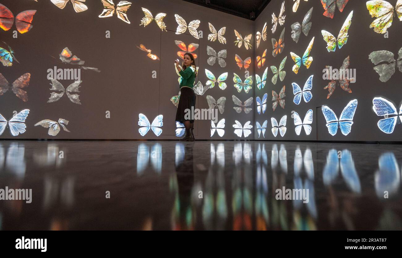 Halcyon Gallery, New Bond Street, London, Großbritannien. 23. Mai 2023. Die neue Halcyon Gallery wird am 25. Mai in Mayfair eröffnet. Die Startausstellung für die neue Galerie - Fütterung des Bewusstseins - zeigt neue Werke des wegweisenden britischen Künstlers Dominic Harris, dessen interaktive Werke und große immersive Installationen fortschrittliche KI, maschinelles Lernen, Bewegungssensoren und andere hochmoderne Technologien, um den Zuschauer als aktiven Teilnehmer einzubeziehen, der die Bilder vor ihm lenkt und formt. Die Ausstellung findet vom 25. Mai bis 13. August 2023 statt. Kredit: Malcolm Park/Alamy Live News Stockfoto