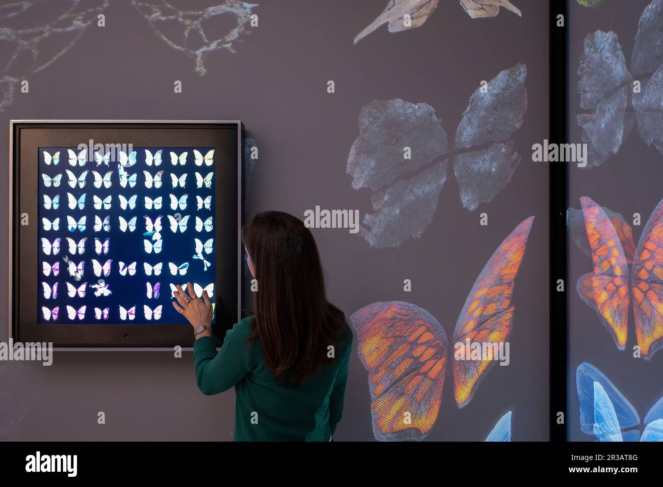 Halcyon Gallery, New Bond Street, London, Großbritannien. 23. Mai 2023. Die neue Halcyon Gallery wird am 25. Mai in Mayfair eröffnet. Die Startausstellung für die neue Galerie - Fütterung des Bewusstseins - zeigt neue Werke des wegweisenden britischen Künstlers Dominic Harris, dessen interaktive Werke und große immersive Installationen fortschrittliche KI, maschinelles Lernen, Bewegungssensoren und andere hochmoderne Technologien, um den Zuschauer als aktiven Teilnehmer einzubeziehen, der die Bilder vor ihm lenkt und formt. Die Ausstellung findet vom 25. Mai bis 13. August 2023 statt. Kredit: Malcolm Park/Alamy Live News Stockfoto