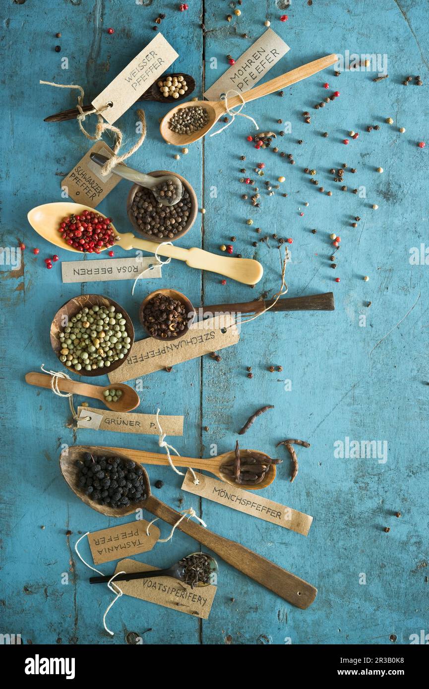 Eine Anordnung verschiedener Paprikatypen auf Löffeln Stockfoto