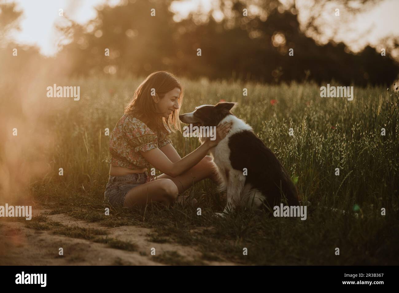 Lächelnde Frau, die mit Border Collie Dog auf dem Feld sitzt Stockfoto