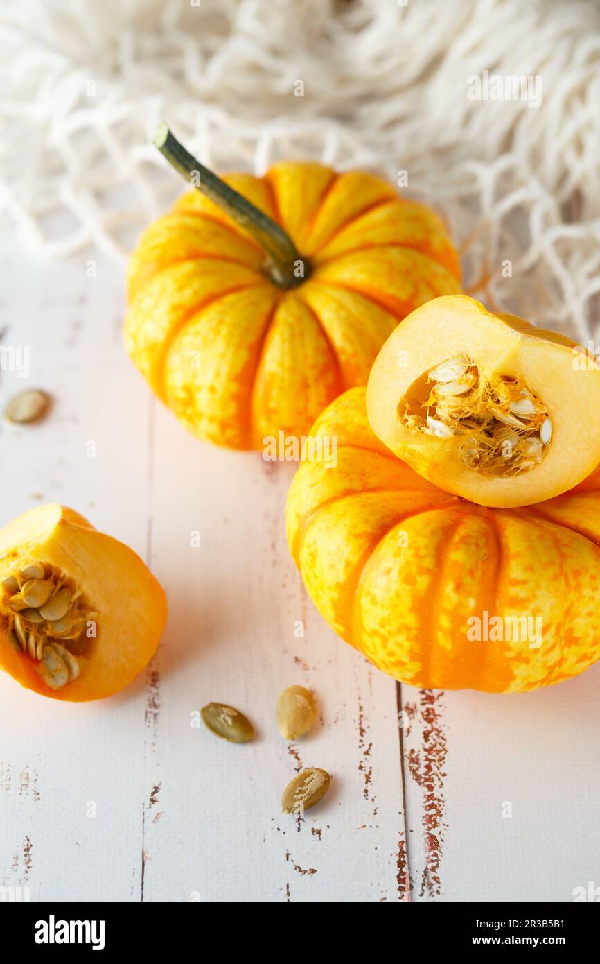 Stille Lebenszusammensetzung mit bunten dekorativen Mini-Kürbissen und Kürbiskernen. Mini-Orangen-Kürbis Stockfoto